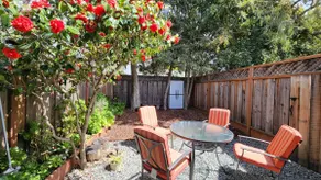 SANTA CRUZ/Seabright Upper Harbor Attached Studio - Image 5