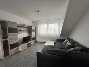 Modern newly renovated 2 room apartment with kitchen and bathroom, Dillingen-OT - Image 5