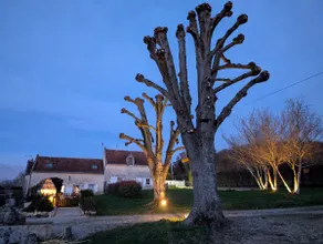 Thalie, 3-star tourist accommodation, located in the heart of the Loire Valley châteaux and Chinon vineyards - Image 4
