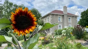 Sleeps 30 - Stunning Garden Retreat - 3 Homes - - Image 3