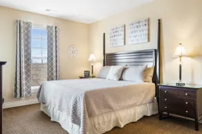 Huge Luxury Condo Decorated For Christmas! - Image 4
