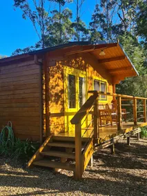 The Rainforest Cabin, cosy and nestled in nature. - Image 2