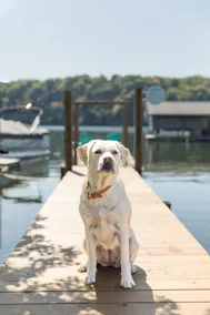 Panoramic Lake Views, Pet-Friendly, 35 mins to VT! - Image 2