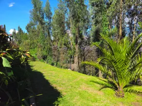 Cozy Cabin in Paipa, Boyacá. (Las Palmas) - Image 5