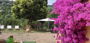 Dimora Il Camaleonte, country location in nature - Image 3