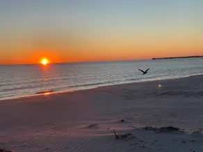Escape to Paradise: A Relaxing Gulf Coast Retreat - Image 2
