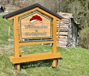 Vacation home in Hofsgrund directly on the Schauinsland - Image 2