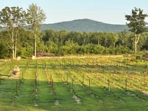 The Vineyard Penthouse - Beautiful Inside & Out - Image 4