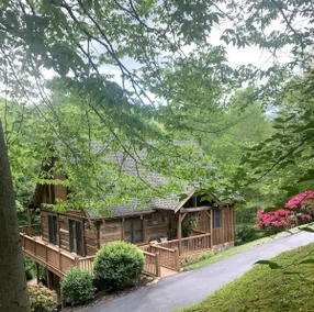 Peaceful, cozy, secluded, mountain cabin - Image 4