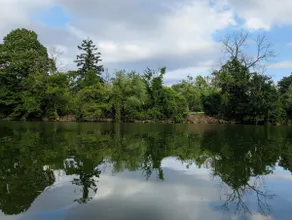 Timeless Niagara,20 min away from Niagara Falls - Image 5
