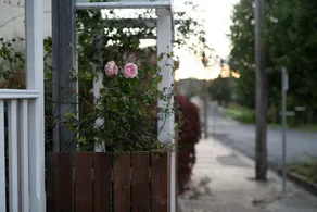 Mill Cottage - Image 4