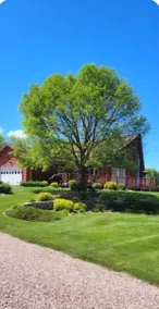 The Log Cabin - Image 2