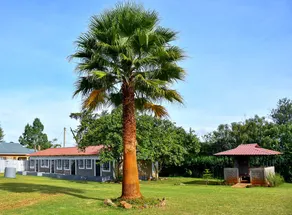 Mlimani, kitale, cozy 1 bedroom - Image 3