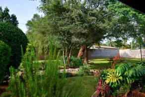 Mlimani, kitale, cozy 1 bedroom - Image 4