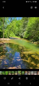 Between the Creeks - Image 2