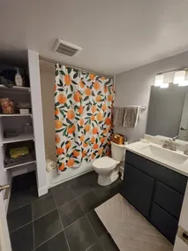 Spacious Guest Suite - Image 5