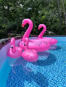 Hot tub, Game room, Pool, 7 miles to stockyards - Image 2