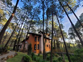 ”Cabaña Villa Fantasía” 10 minutes from the waterfall. - Image 2