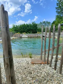 Eco-friendly gîte in the countryside with swimming pool - Image 3