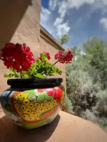 Charming Casita 7 on Human Refuge near Mesa Verde - Image 5