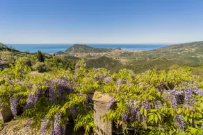 Casale In Vigna, CinqueTerreCoast - Image 3