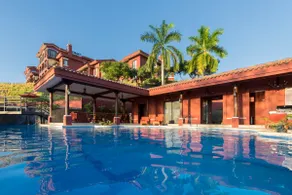 Bougainvillea 8207 - Image 4