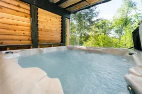 Relax at the Dacha w/ Lake Views + Hot Tub - Image 3