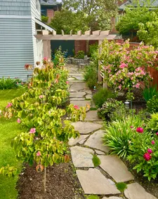 Pear Tree Cottage in Charming Ballard - Image 5