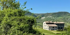 ”Zafferano” Apartment in Oltrella Country House - Image 2