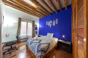 Jade Flat. Right at the Heart of Coyoacán. - Image 4