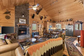 Noah's Ark-spacious cozy cabin w/HOT TUB & firepit - Image 2