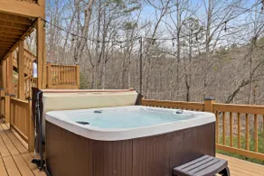 Noah's Ark-spacious cozy cabin w/HOT TUB & firepit - Image 4