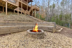 Noah's Ark-spacious cozy cabin w/HOT TUB & firepit - Image 5