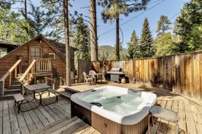 Vintage Cabin under the pines, Hot tub/Dogs ok. - Image 3