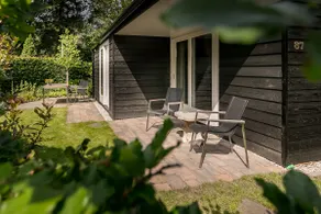 Modern Veluwe cottage near woods and heath (No. 87) - Image 2