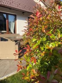 Lovely Cottage close to Spa - Image 4