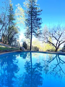 Peaceful Forest Retreat w/ Pool, Game Room, EV Charger. Pet friendly! - Image 2