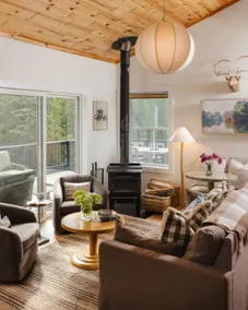 The Gin Cabin - Stunning Mountain Views and Sauna! - Image 2