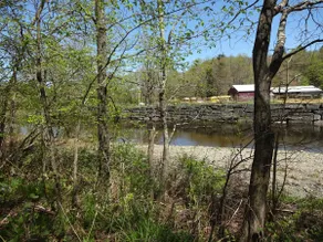 Willowemoc Creek Cottage - Image 4