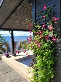Cabin with beachfront views, 30 min from Oslo - Image 2