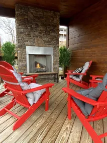 Views+Hot Tub+TreeTops+Bears+W/D+Easy Parking - Image 4