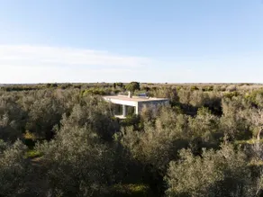 Beautifully designed Villa in olive grove - Image 3