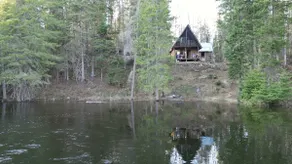 CABIN w/ pond, trail to waterfall - Image 3