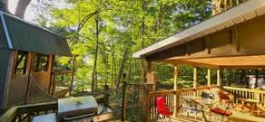 Lake Home & Treehouse ❤ Seneca Treehouse Project - Image 2