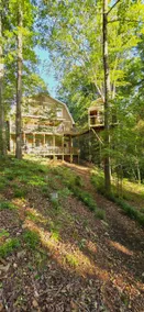 Lake Home & Treehouse ❤ Seneca Treehouse Project - Image 3
