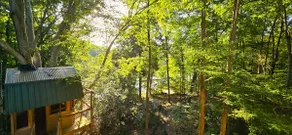 Lake Home & Treehouse ❤ Seneca Treehouse Project - Image 5
