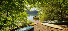 Lake Home & Treehouse ❤ Seneca Treehouse Project - Image 4