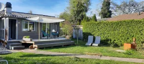 Swan - Image 5