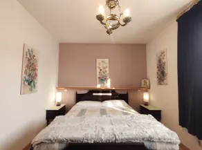 Cottage \"Le None\" lovely and cozy villa with garden and patio in FVG  - Image 3