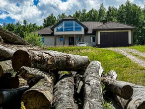 Błotnia habitat - Image 5
